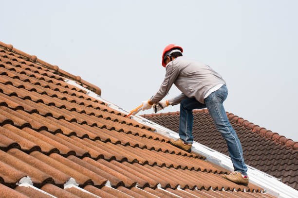 Asphalt Shingles Roofing in Wellington, FL